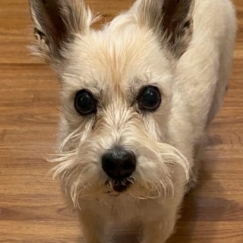 20220403_093757_1878895337353