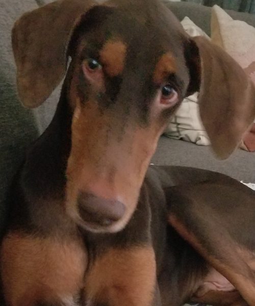 ?