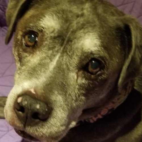 IMG_20200223_154020_890