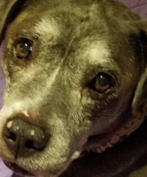 IMG_20200223_154020_890