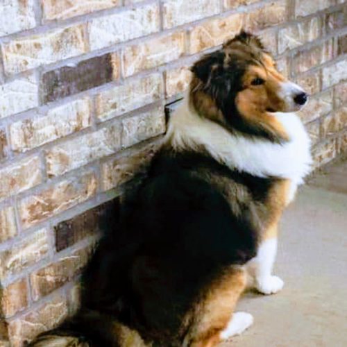 WhatsApp Image 2025-03-04 at 10.05.08