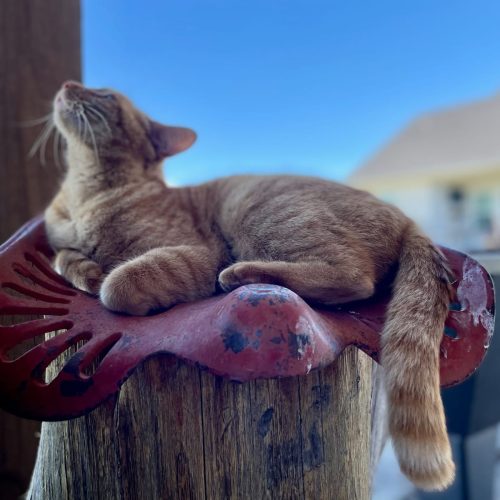 WhatsApp Image 2025-03-04 at 10.05.12